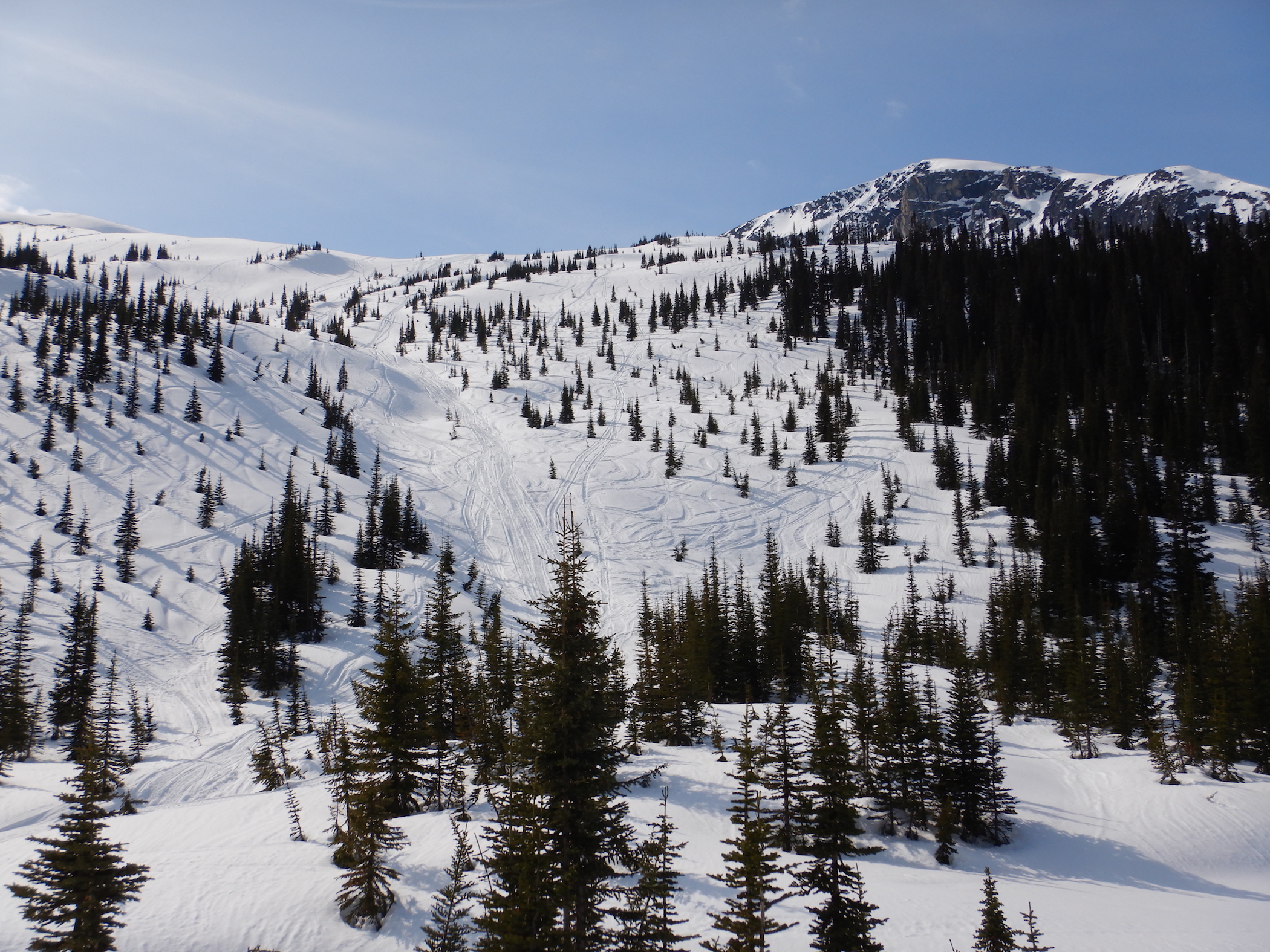 Do backcountry skiers object to snowmobilers  in ski terrain?